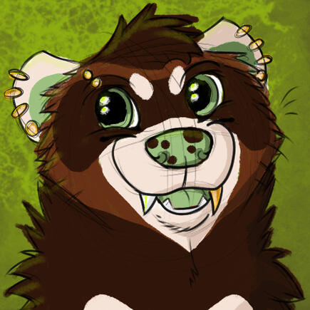 Ferret