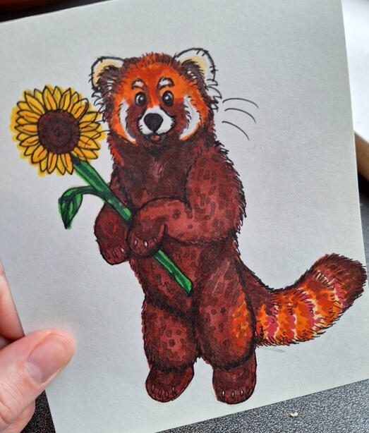 Red Panda