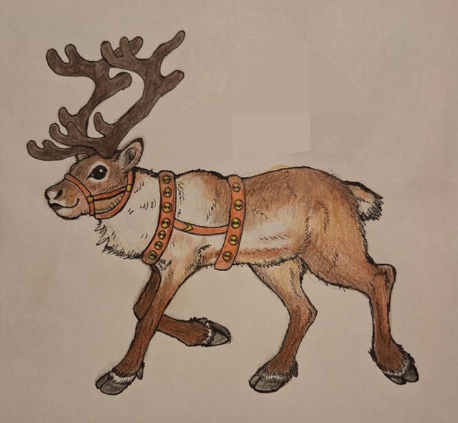 Reindeer